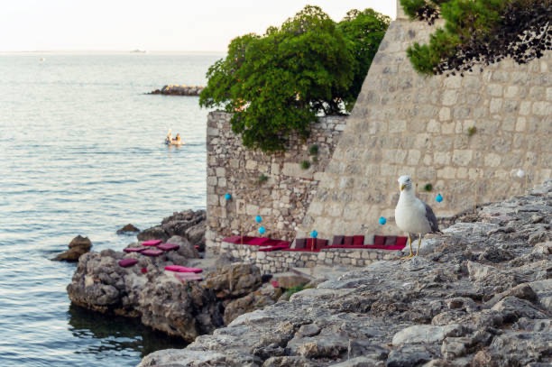 Sommerbar am Meer